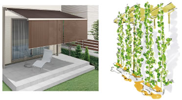 2 夏場は日除けや緑のカーテンで省エネ