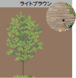 ライトブラウン