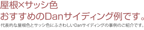 屋根&times;サッシ色 おすすめのDanサイディング例