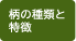 柄の種類と特徴