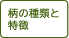 柄の種類と特徴