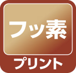 フッ素プリント鋼板プリント塗装品